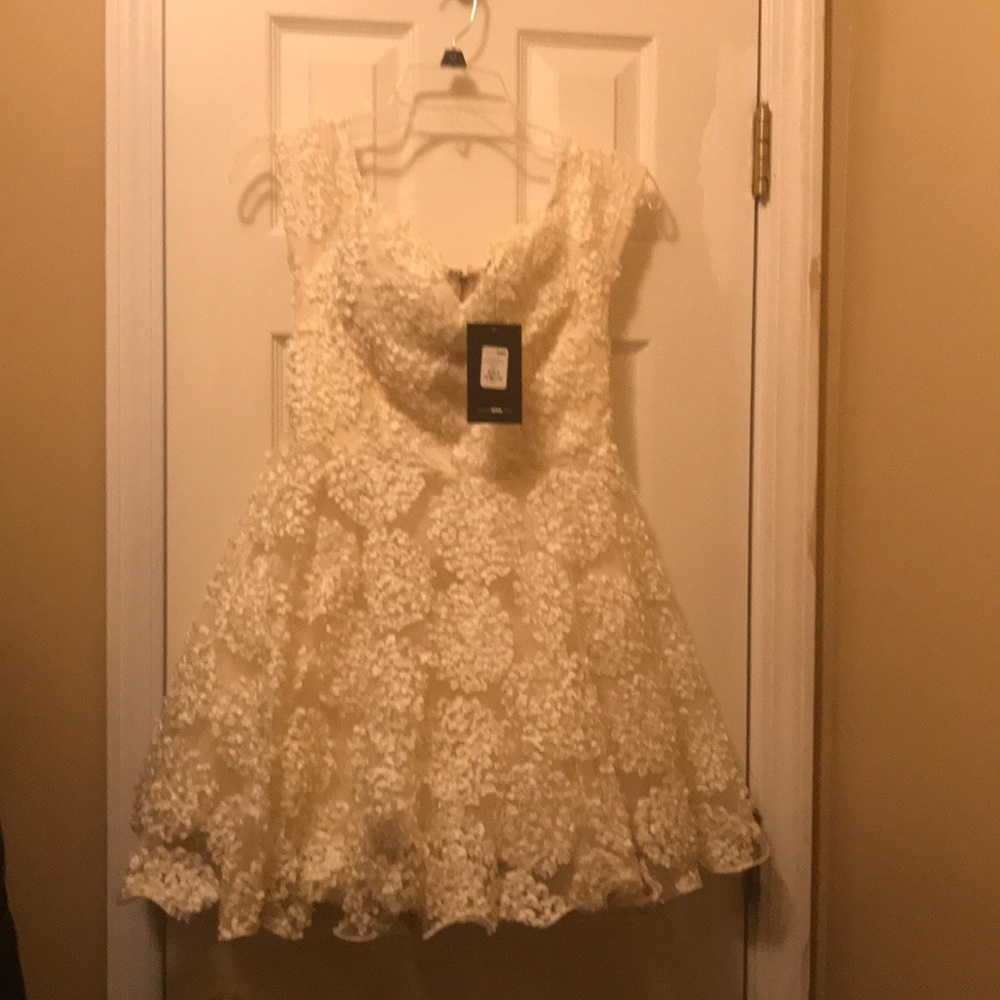 Fashion Nova Dress